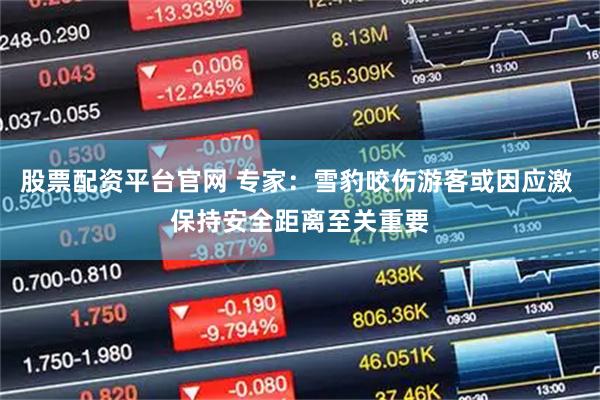 股票配资平台官网 专家：雪豹咬伤游客或因应激 保持安全距离至关重要